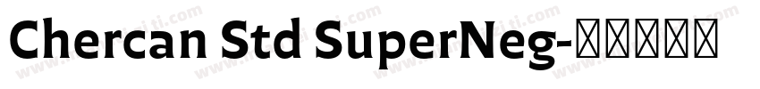 Chercan Std SuperNeg字体转换